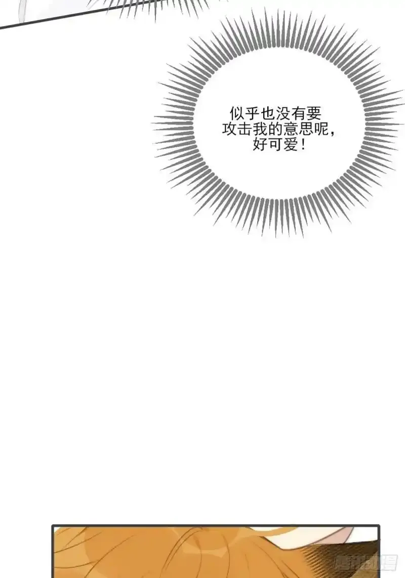 命运般地相遇了 第153页