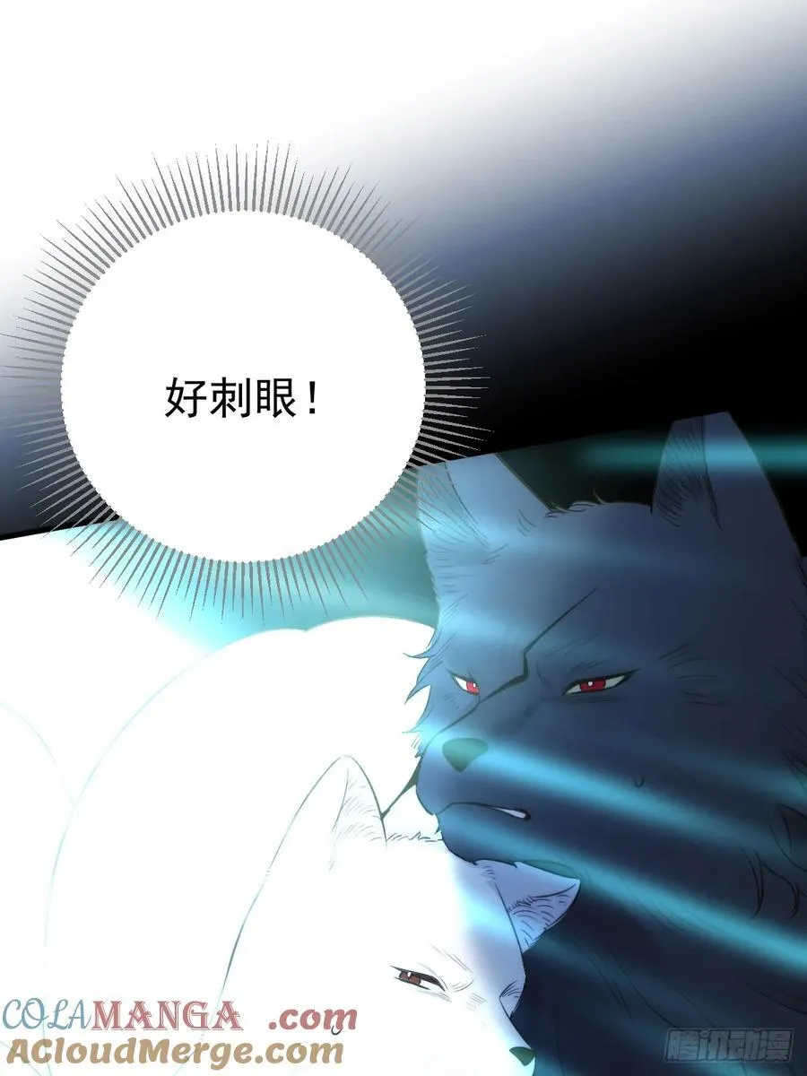 重新开始吧 第31页