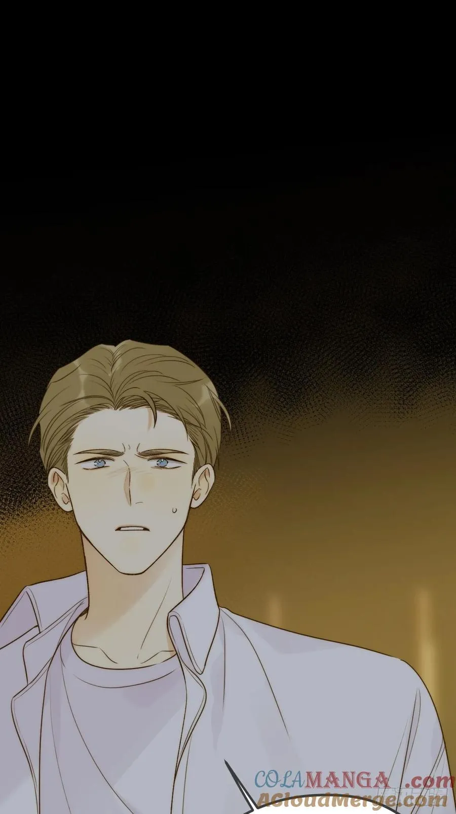 孤独的 第41页