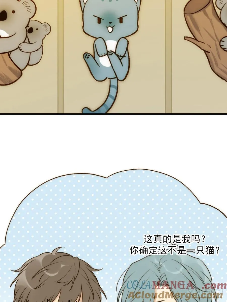 明信片 第19页