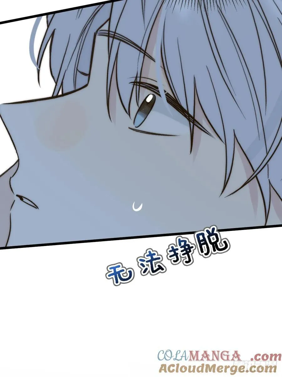 夜间啤酒 第49页