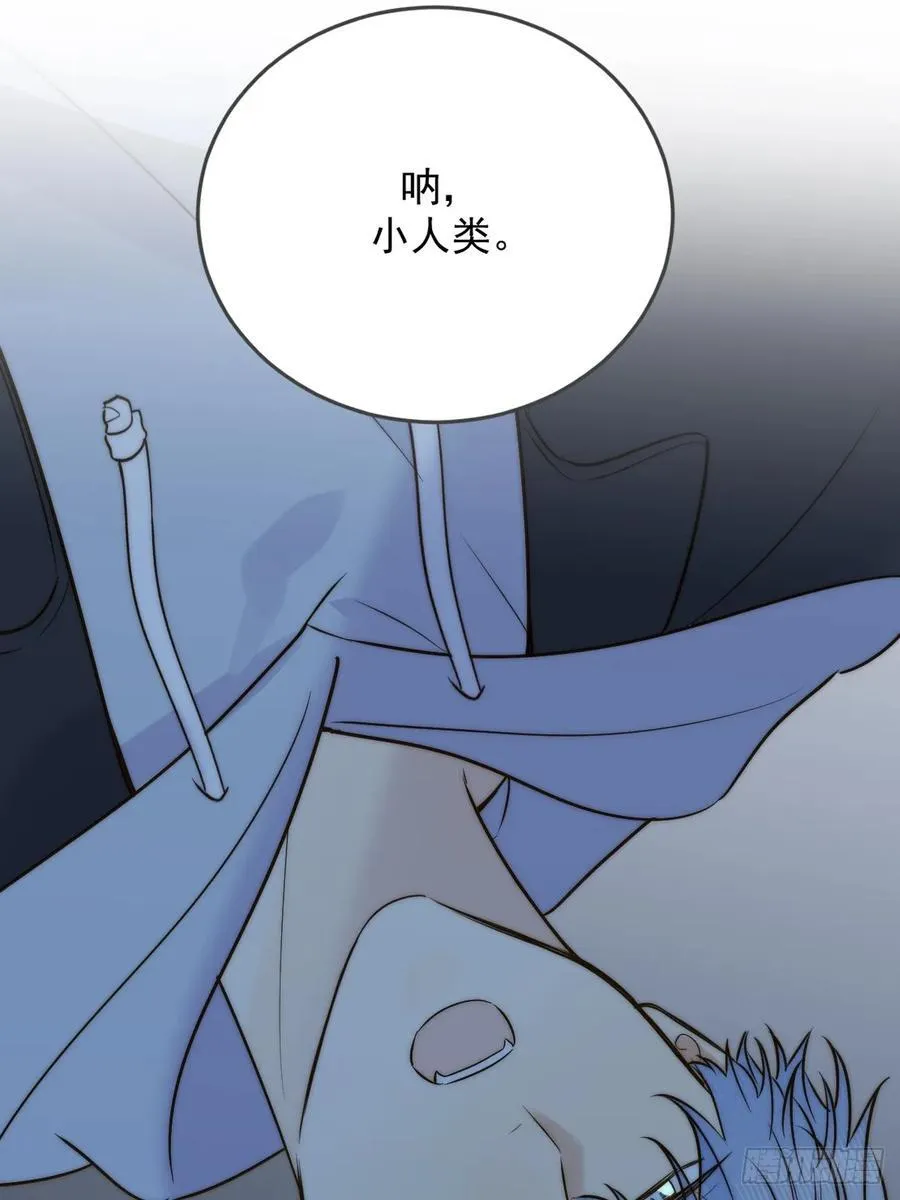 夜间啤酒 第50页