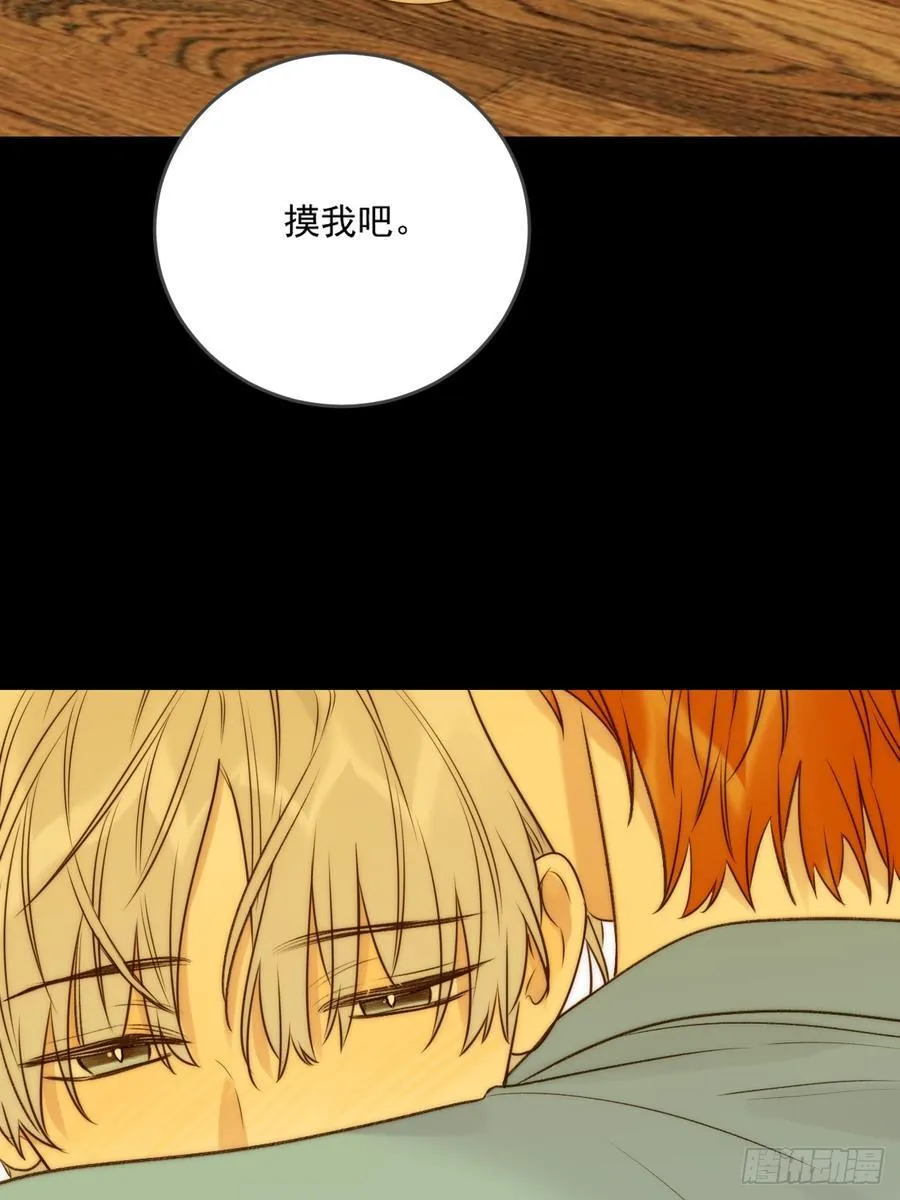 白夜的尾巴 第2页