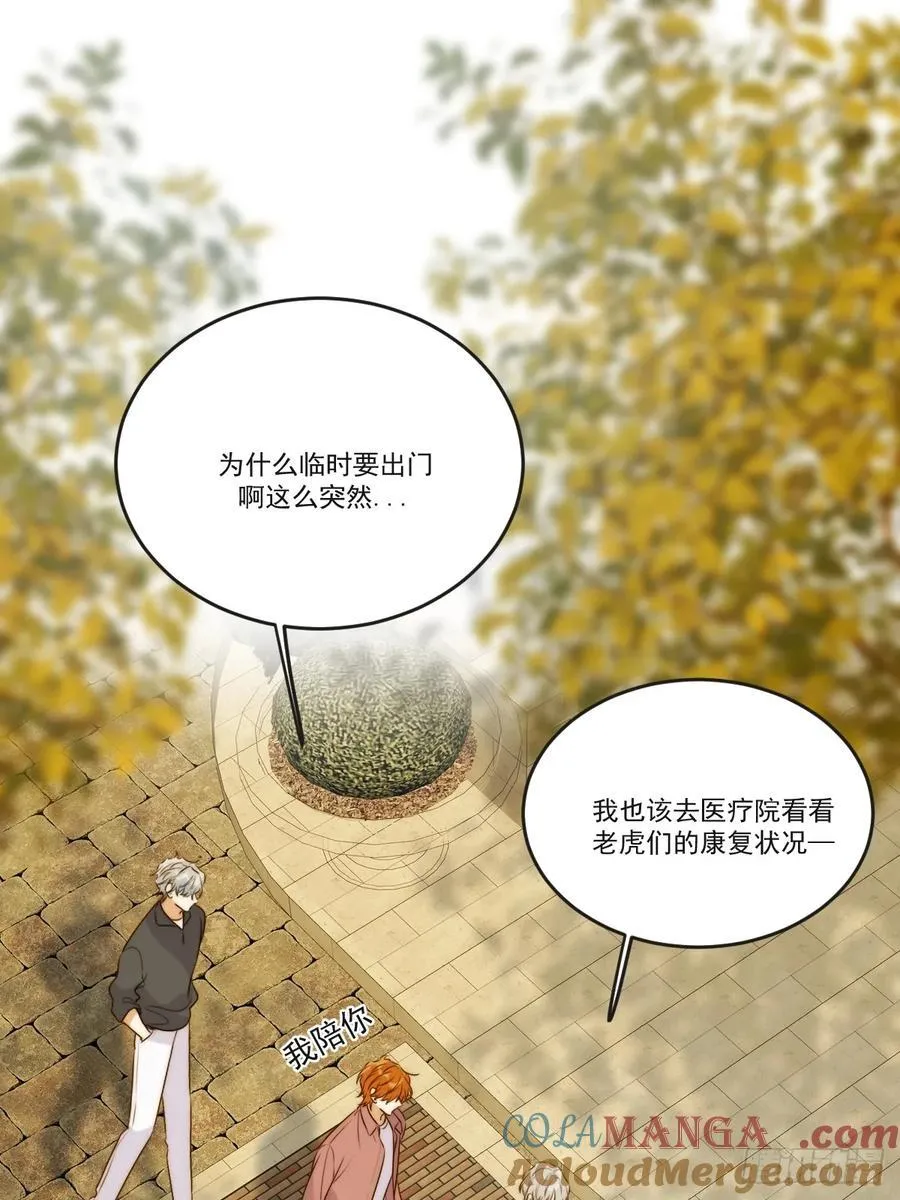 缠绕的白色绷带2 第35页