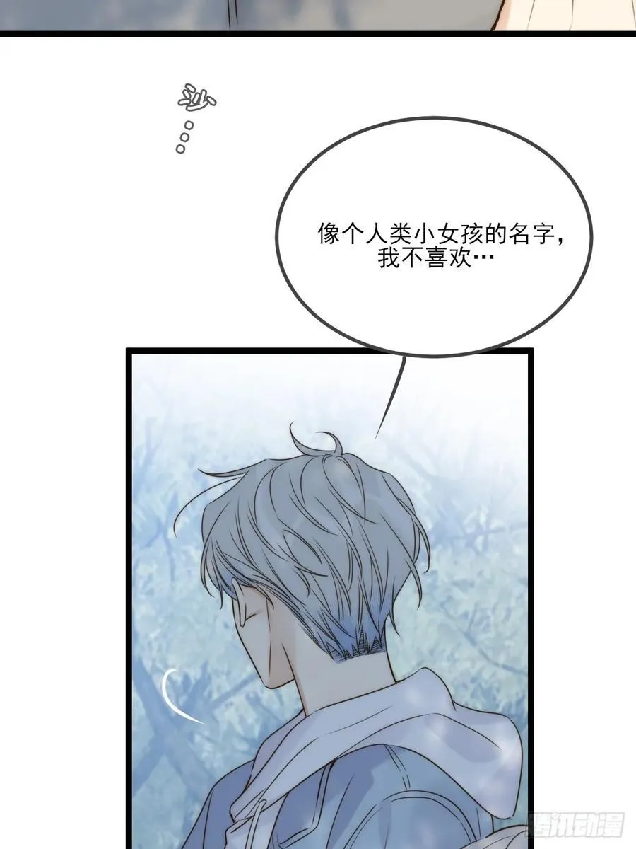 露营第一天 第44页