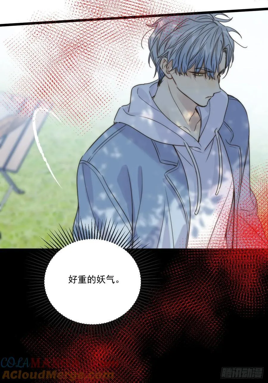 本能与爱上 第17页
