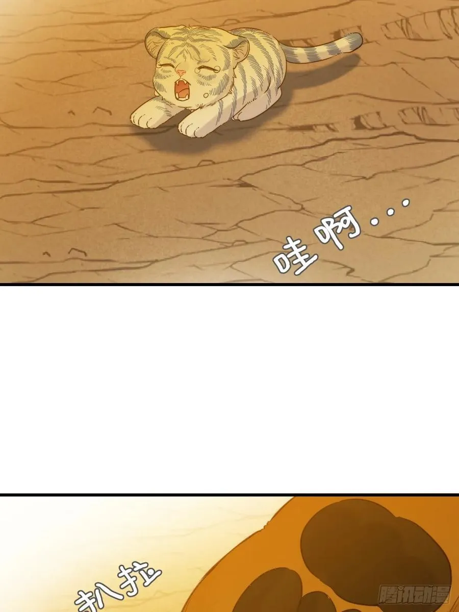 虎与爆篇1 第5页