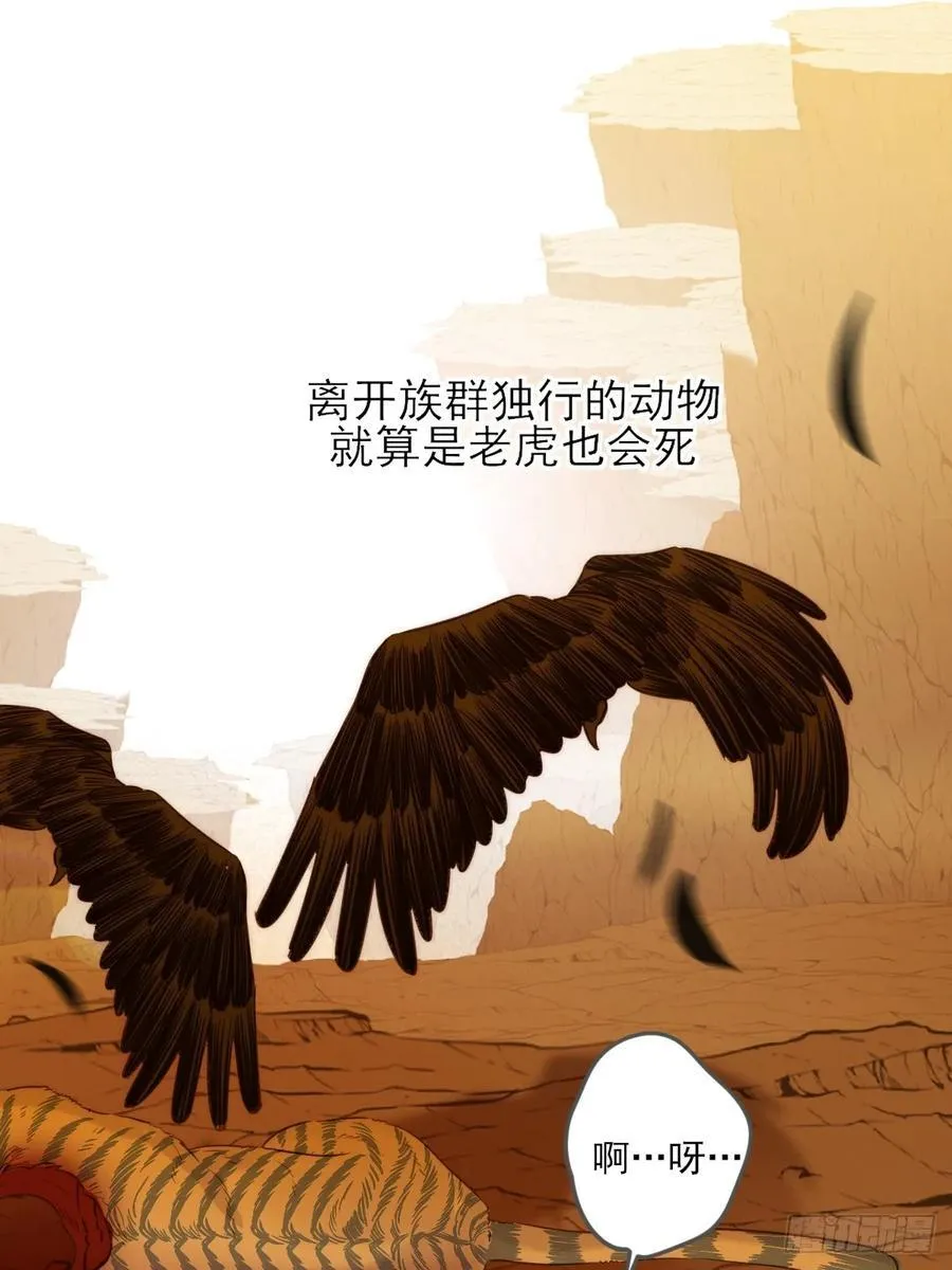 虎与爆篇1 第23页