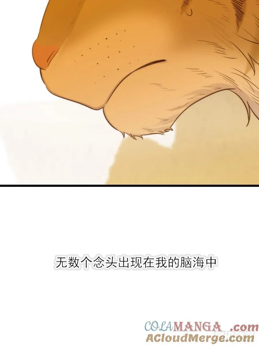 虎与爆篇1 第25页