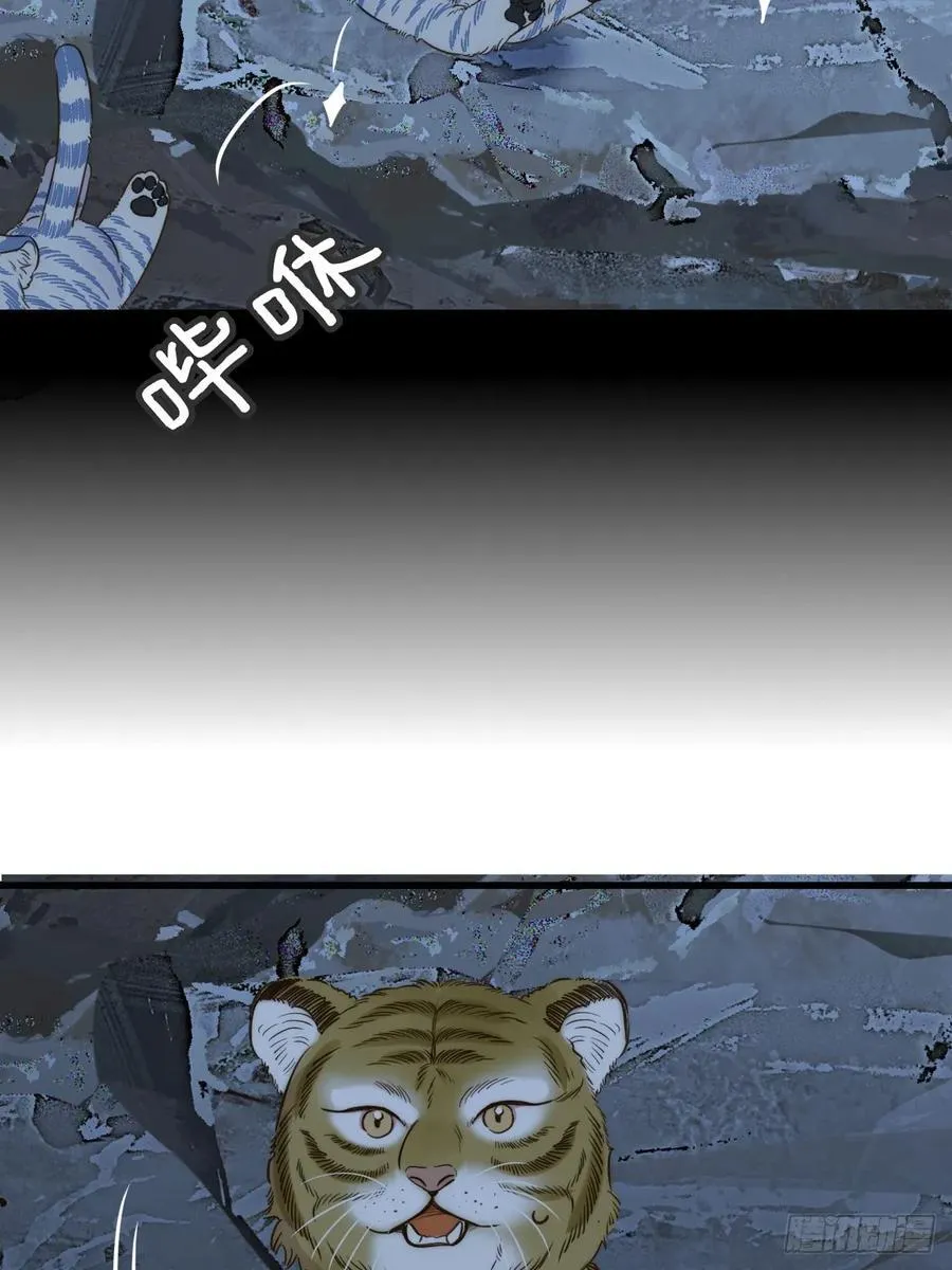 虎与爆篇1 第35页
