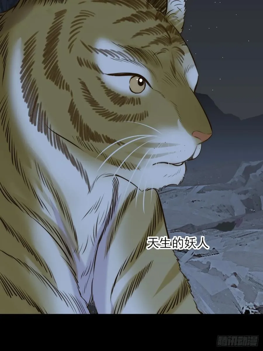 虎与爆篇1 第38页