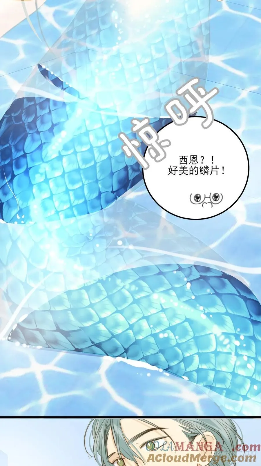 大饱眼福 第27页