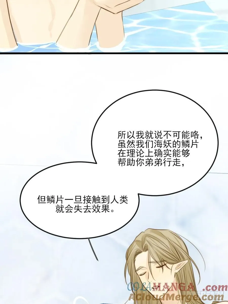 鳞片的秘密 第17页