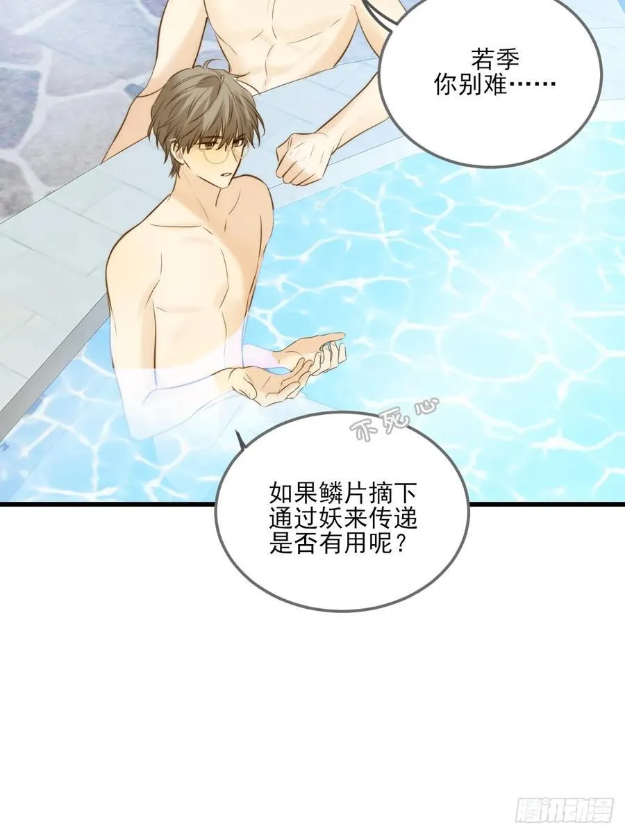 鳞片的秘密 第24页
