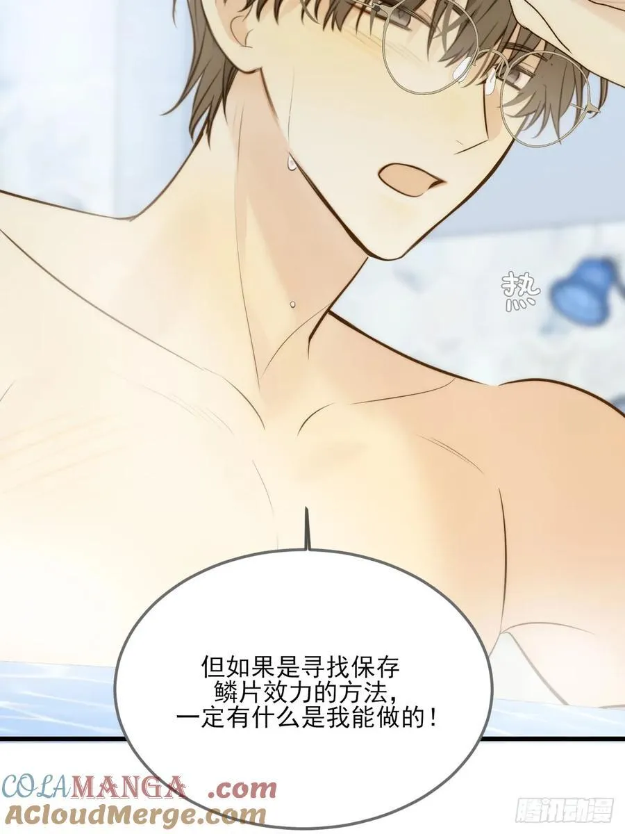 鳞片的秘密 第27页
