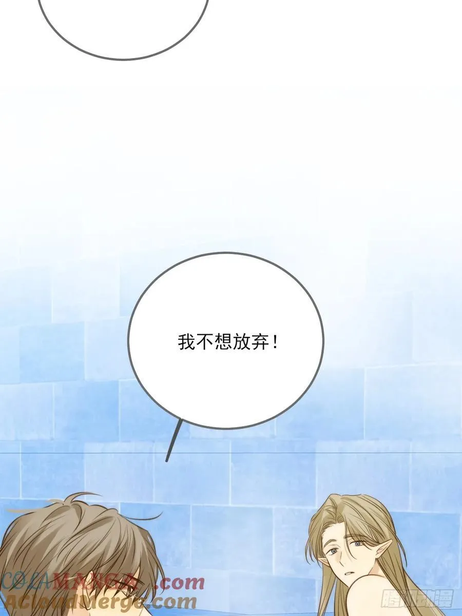 鳞片的秘密 第29页