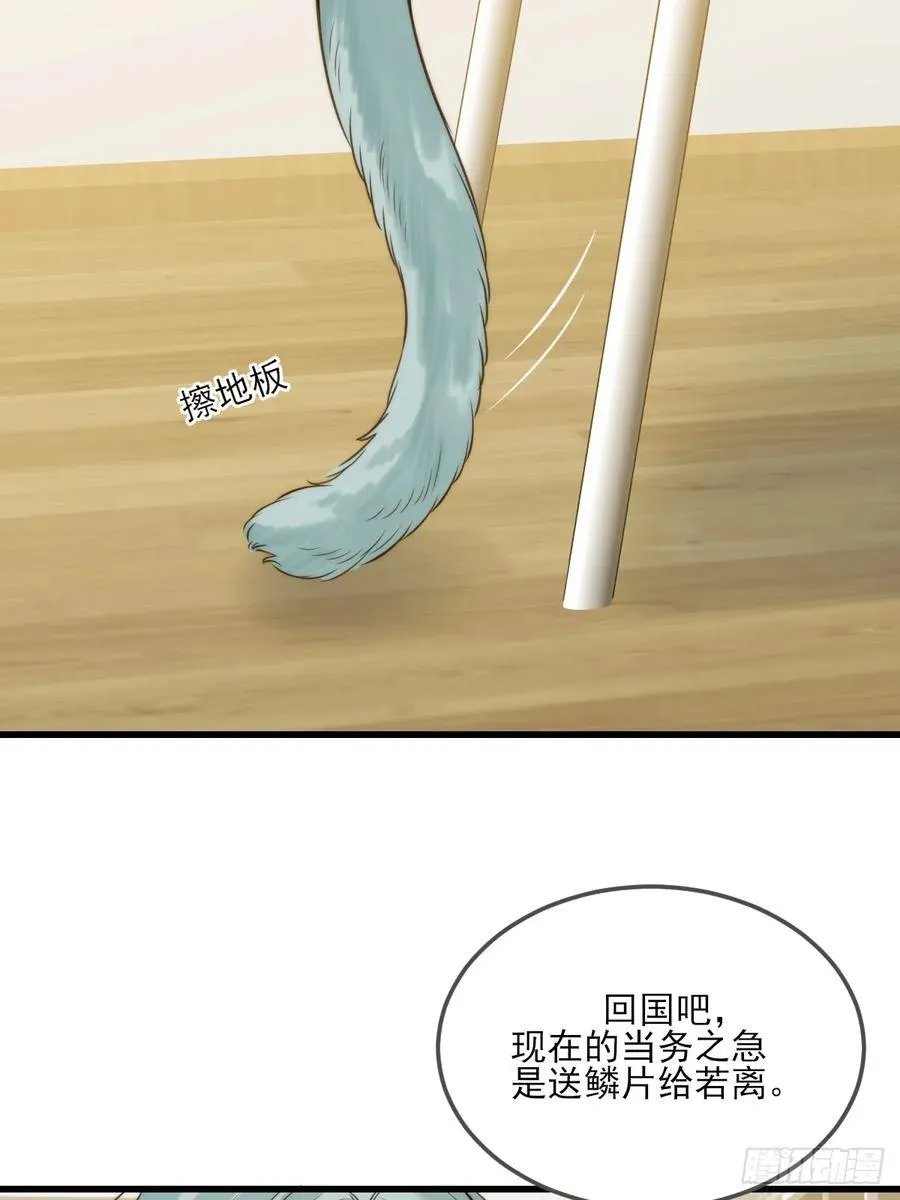 他说的，我来做 第4页