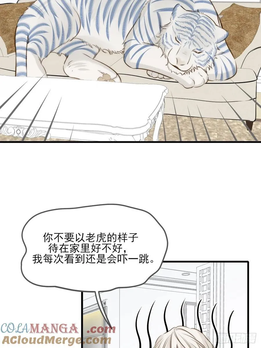 他说的，我来做 第13页