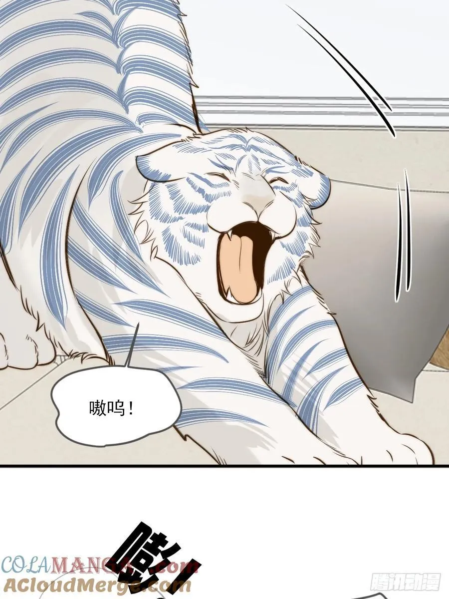 他说的，我来做 第15页