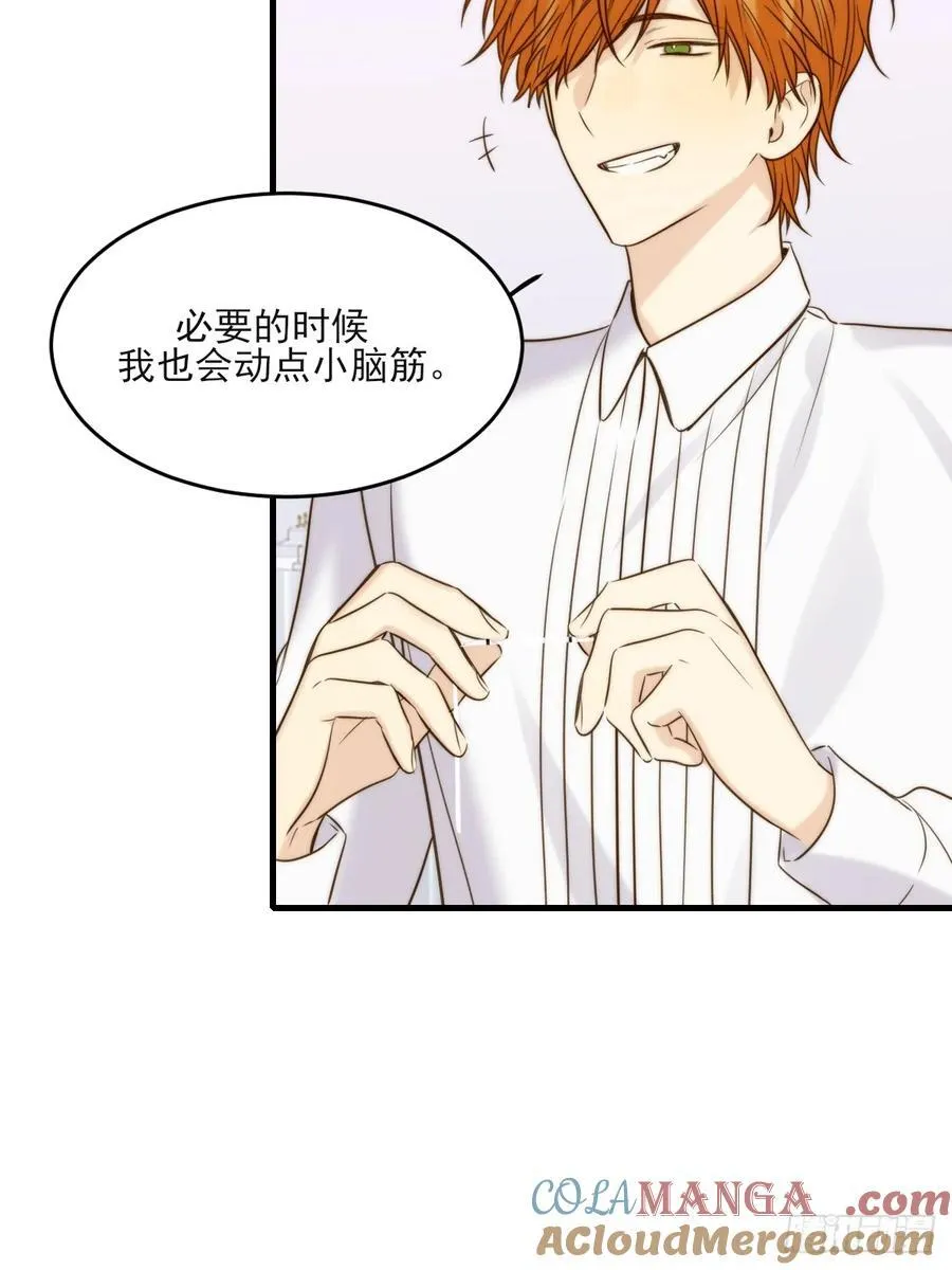 动物购物 第17页