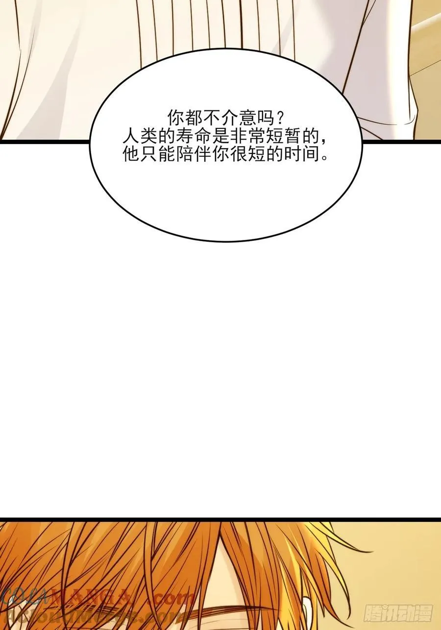 动物购物 第31页