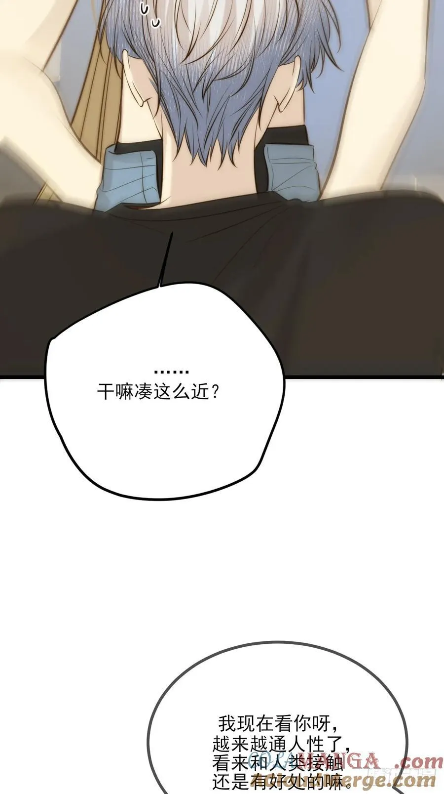 哥哥回国 第28页