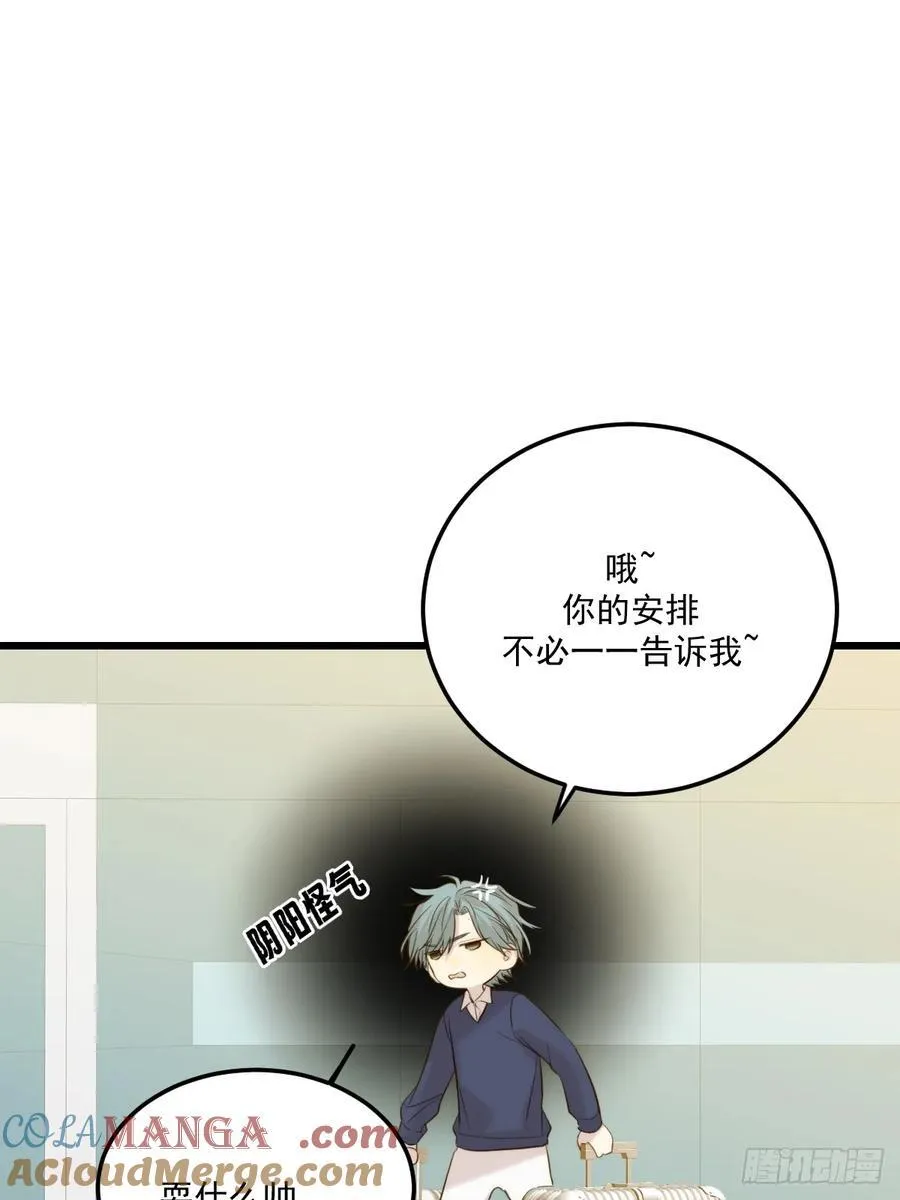 家里多了两只？ 第4页