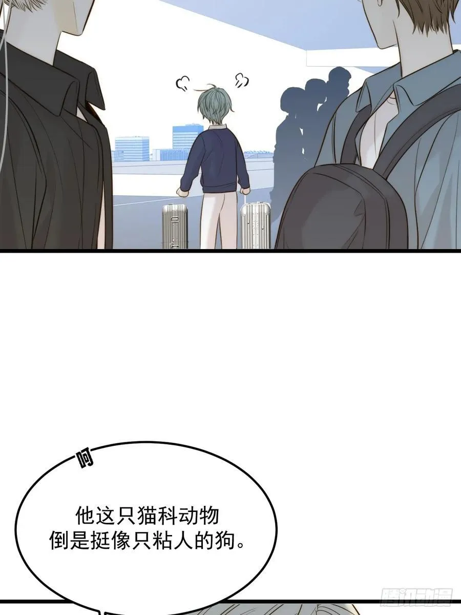 家里多了两只？ 第6页