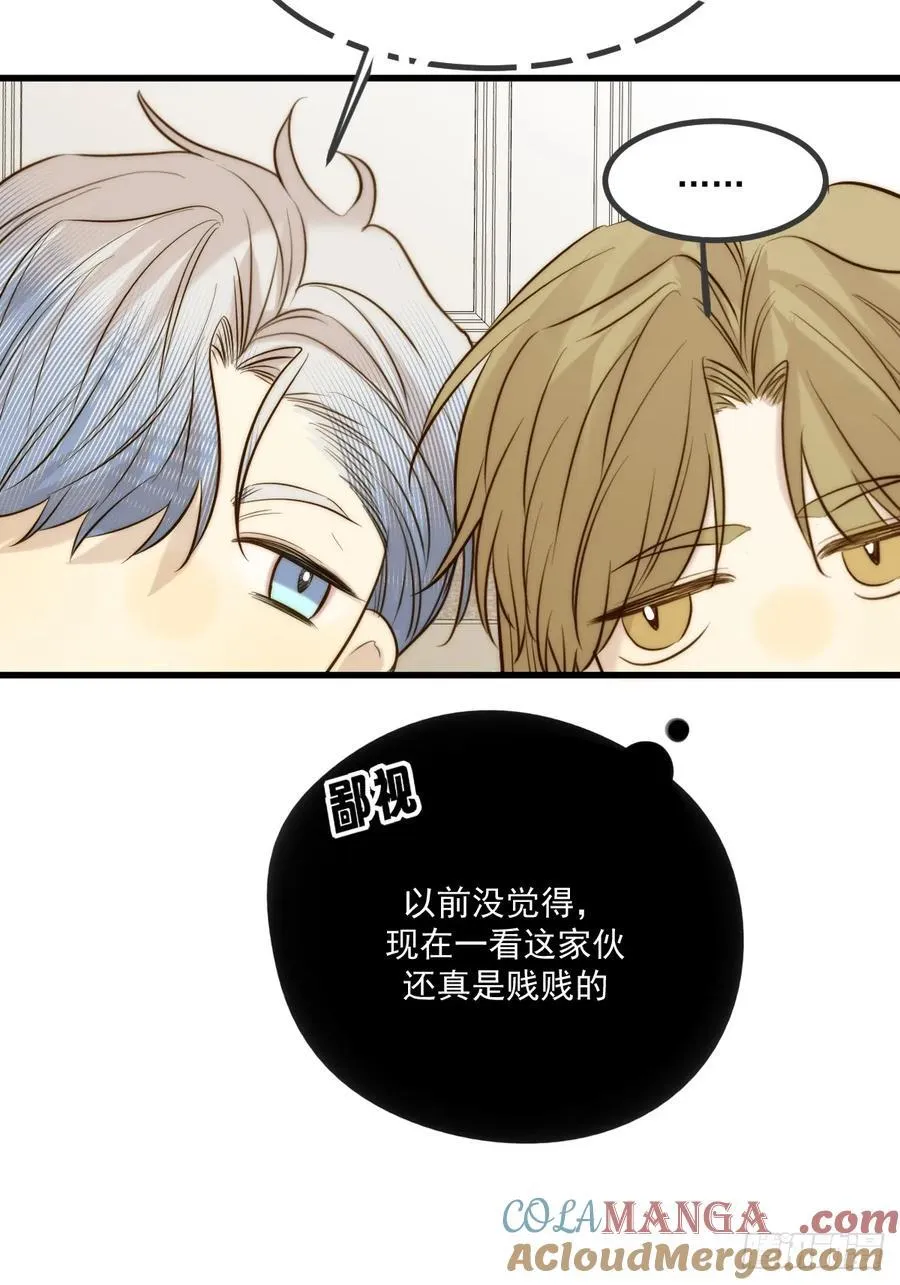 家里多了两只？ 第34页