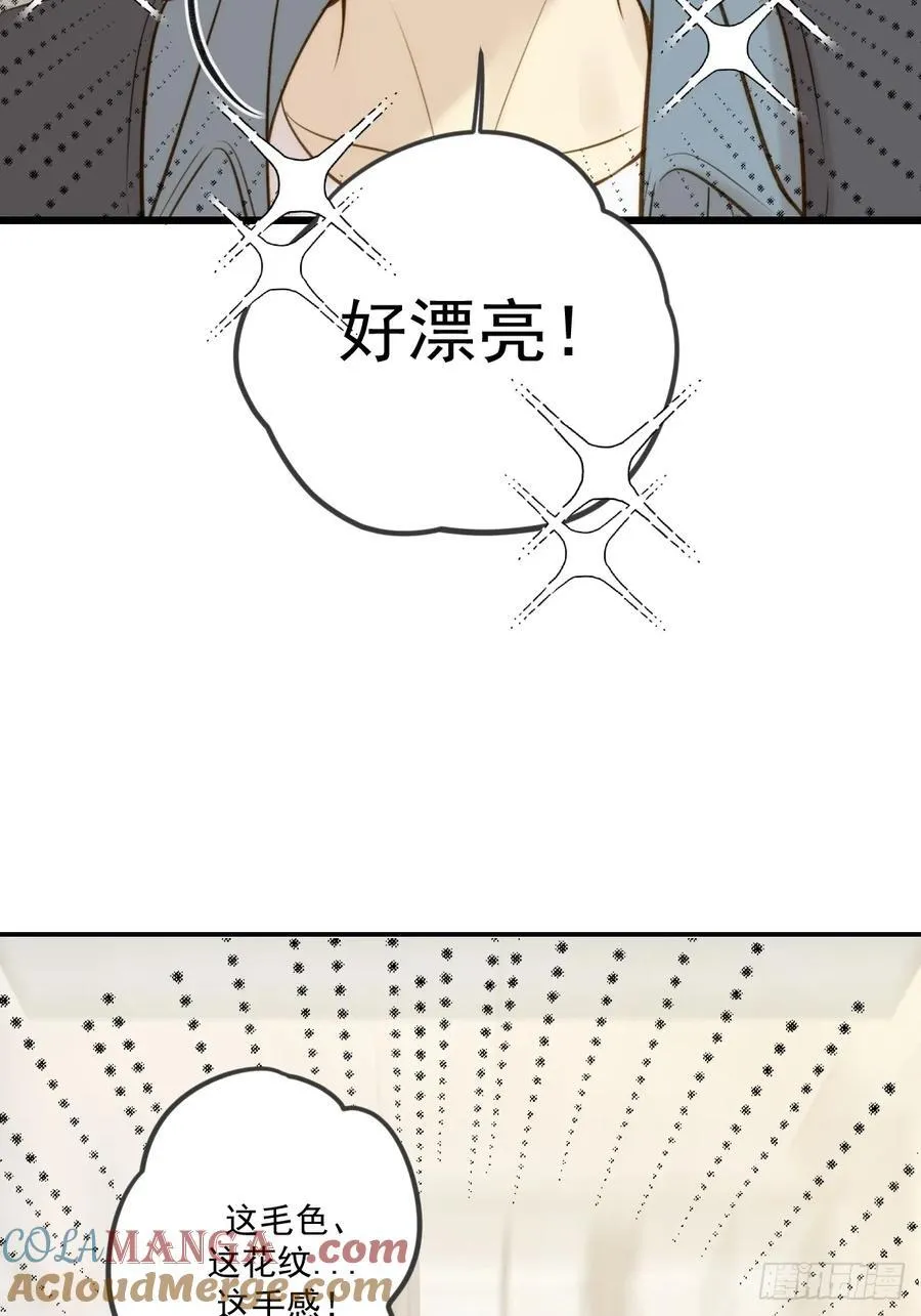 家里多了两只？ 第43页