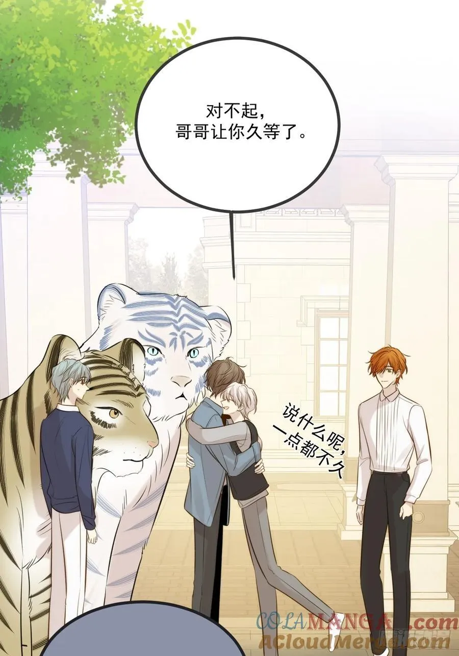 家里多了两只？ 第49页