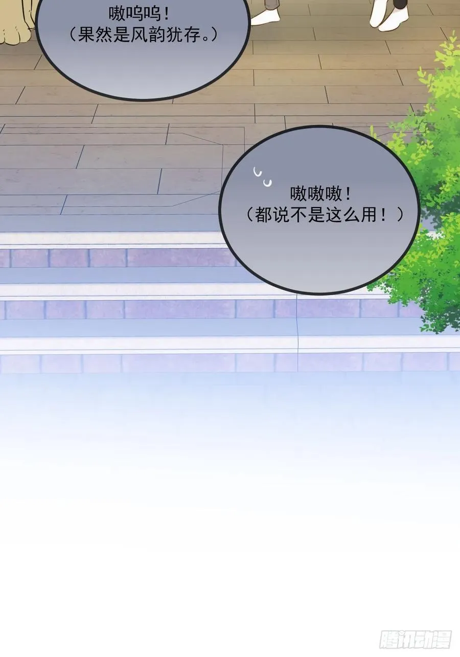 家里多了两只？ 第50页