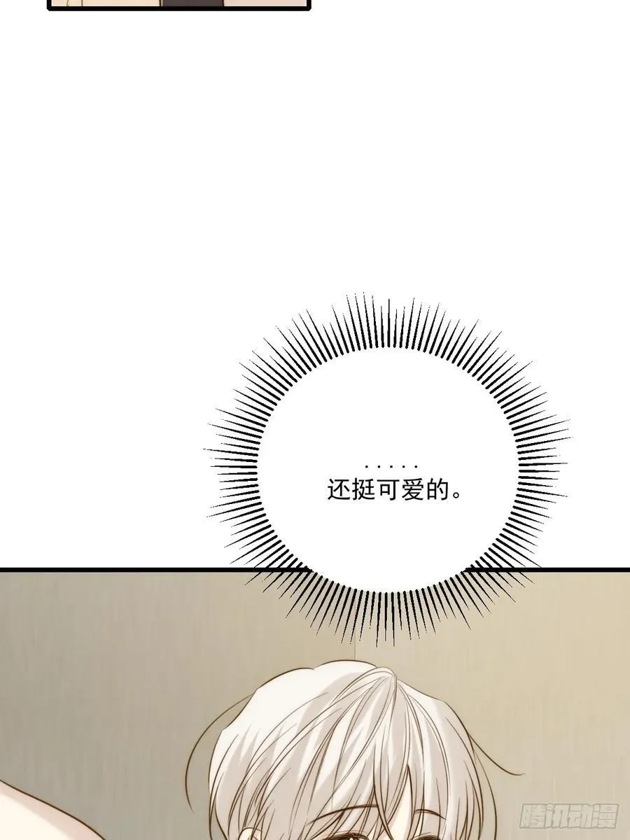 转移鳞片 第5页