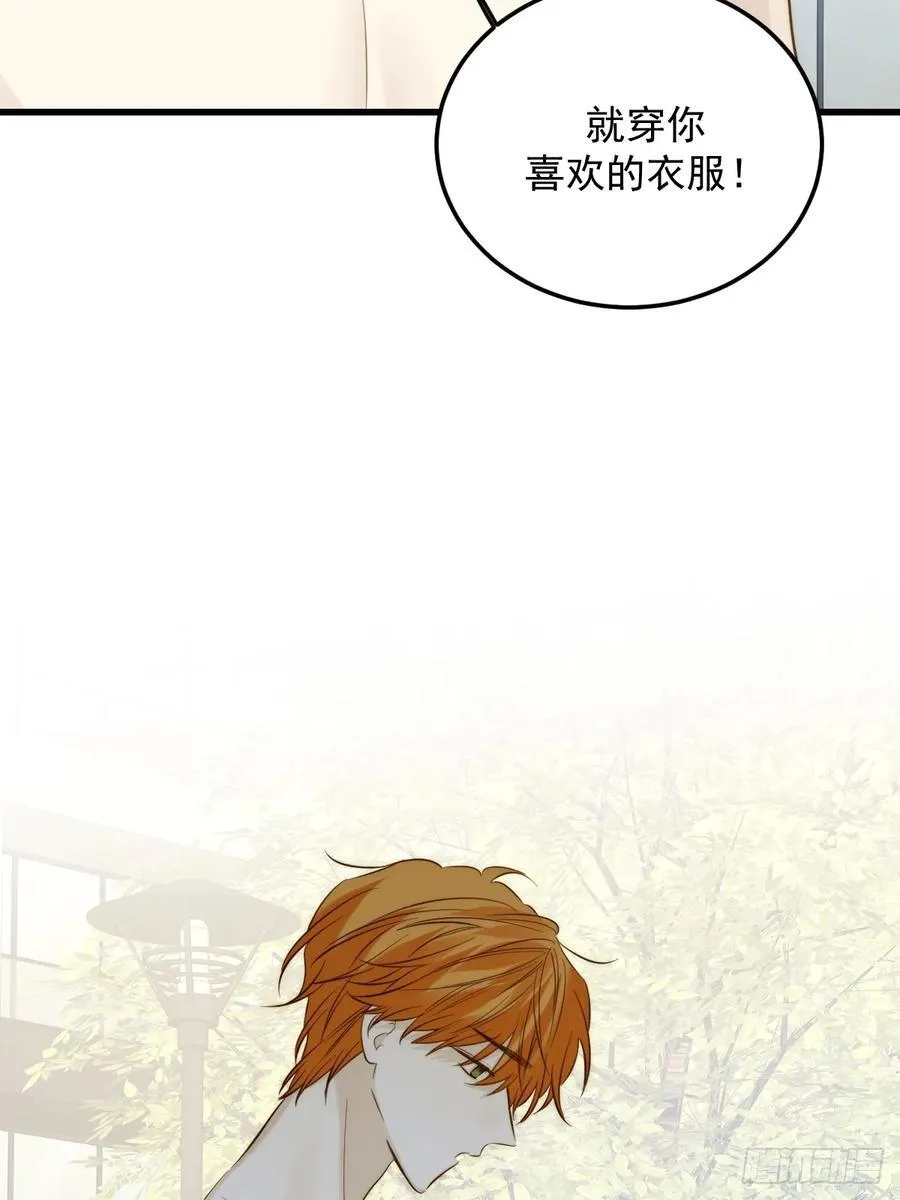 转移鳞片 第20页