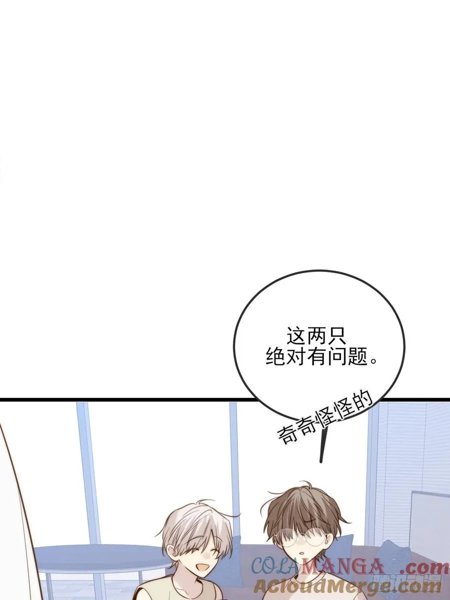 我同意了 第19页