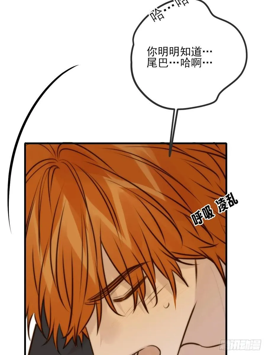 敏感的尾巴 第15页