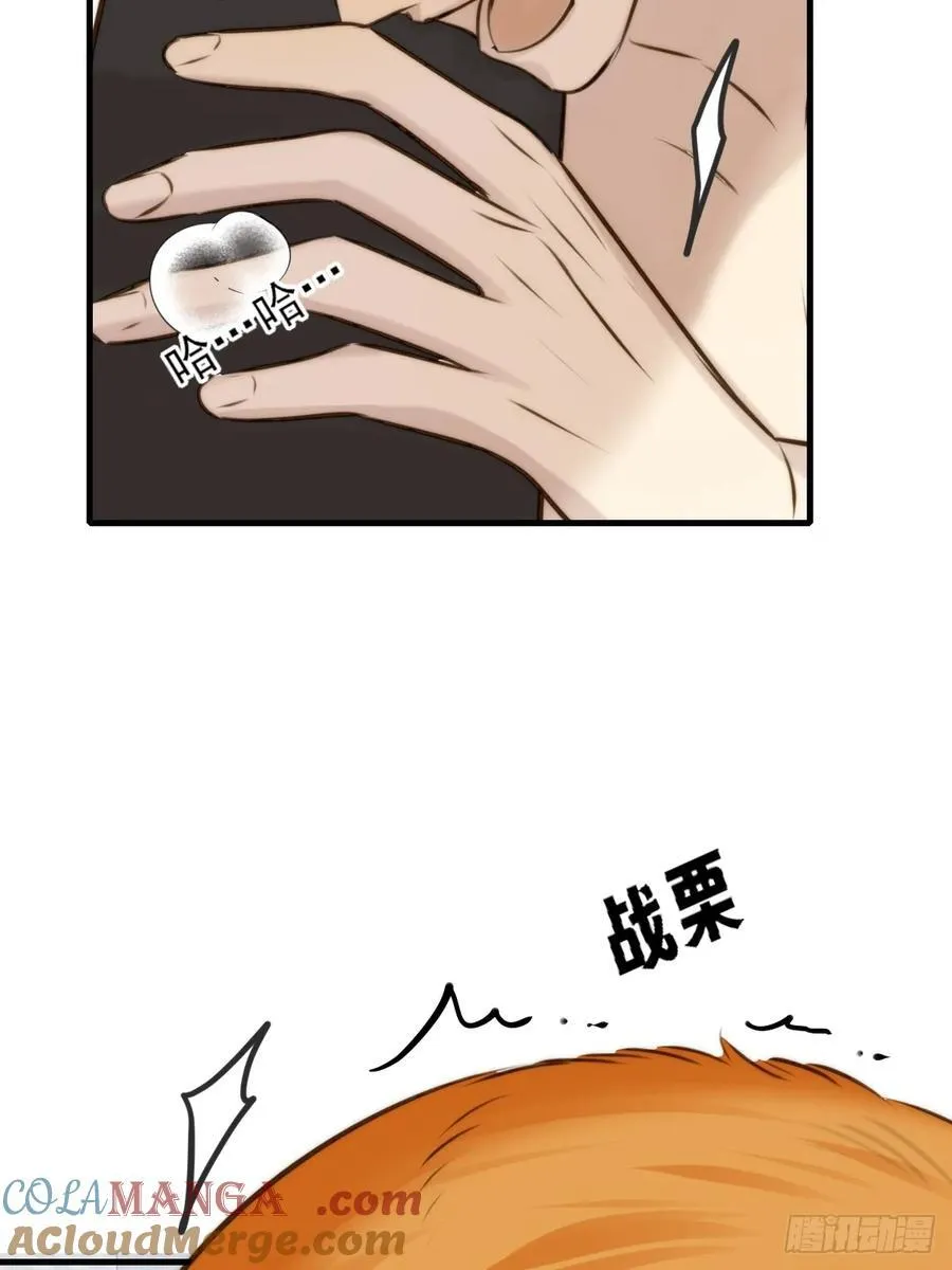 敏感的尾巴 第16页