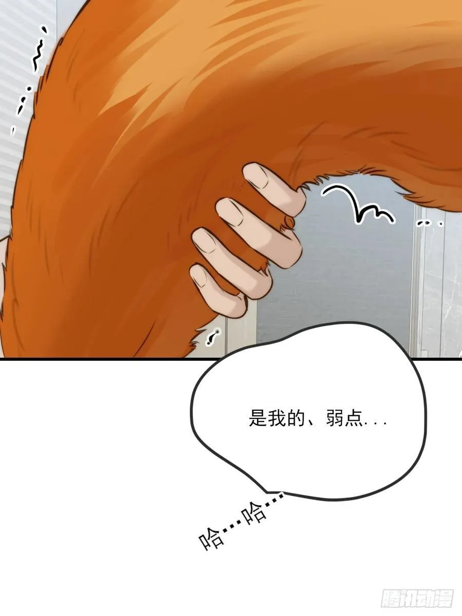 敏感的尾巴 第17页