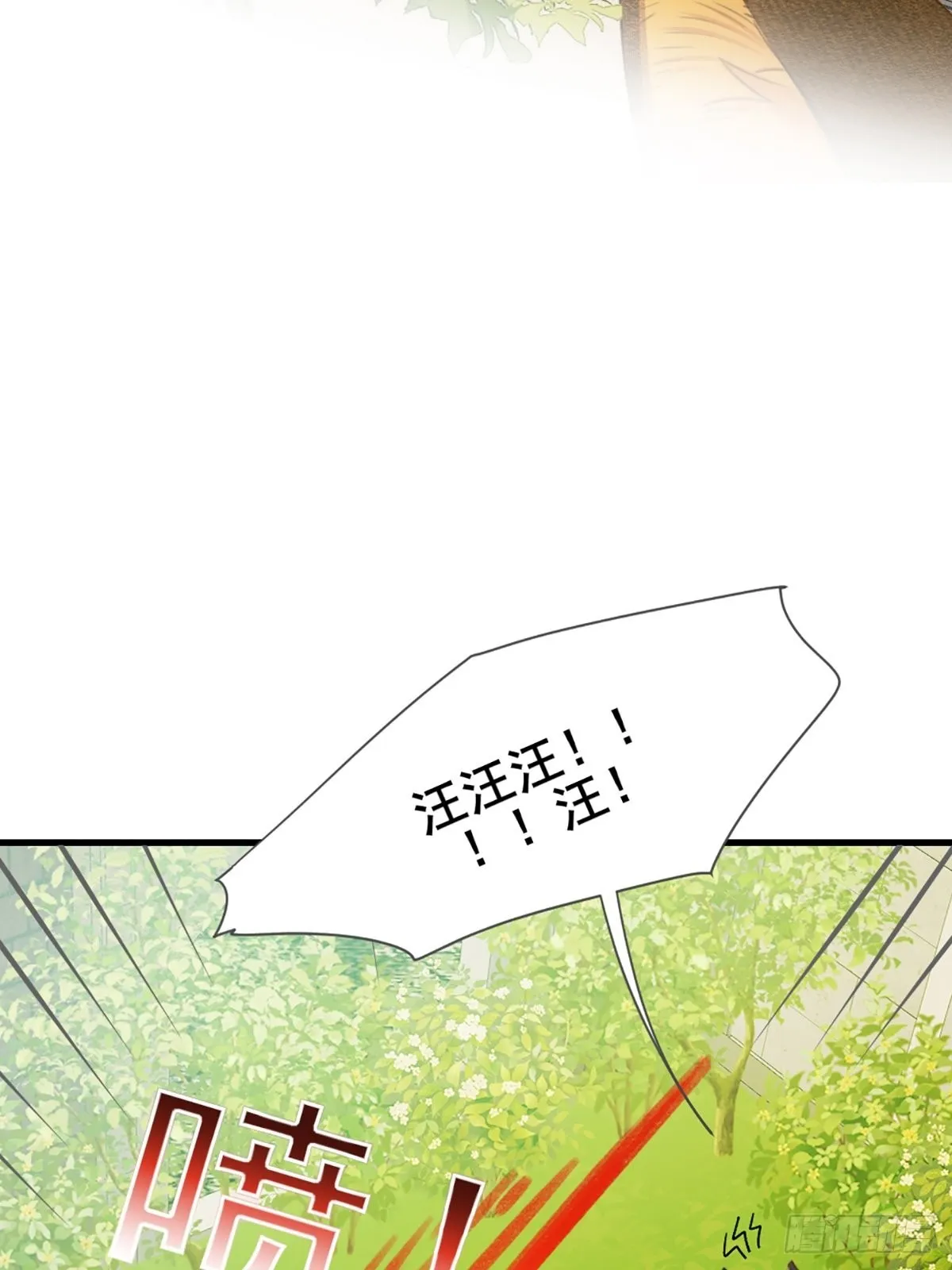 失忆的狐狸 第44页