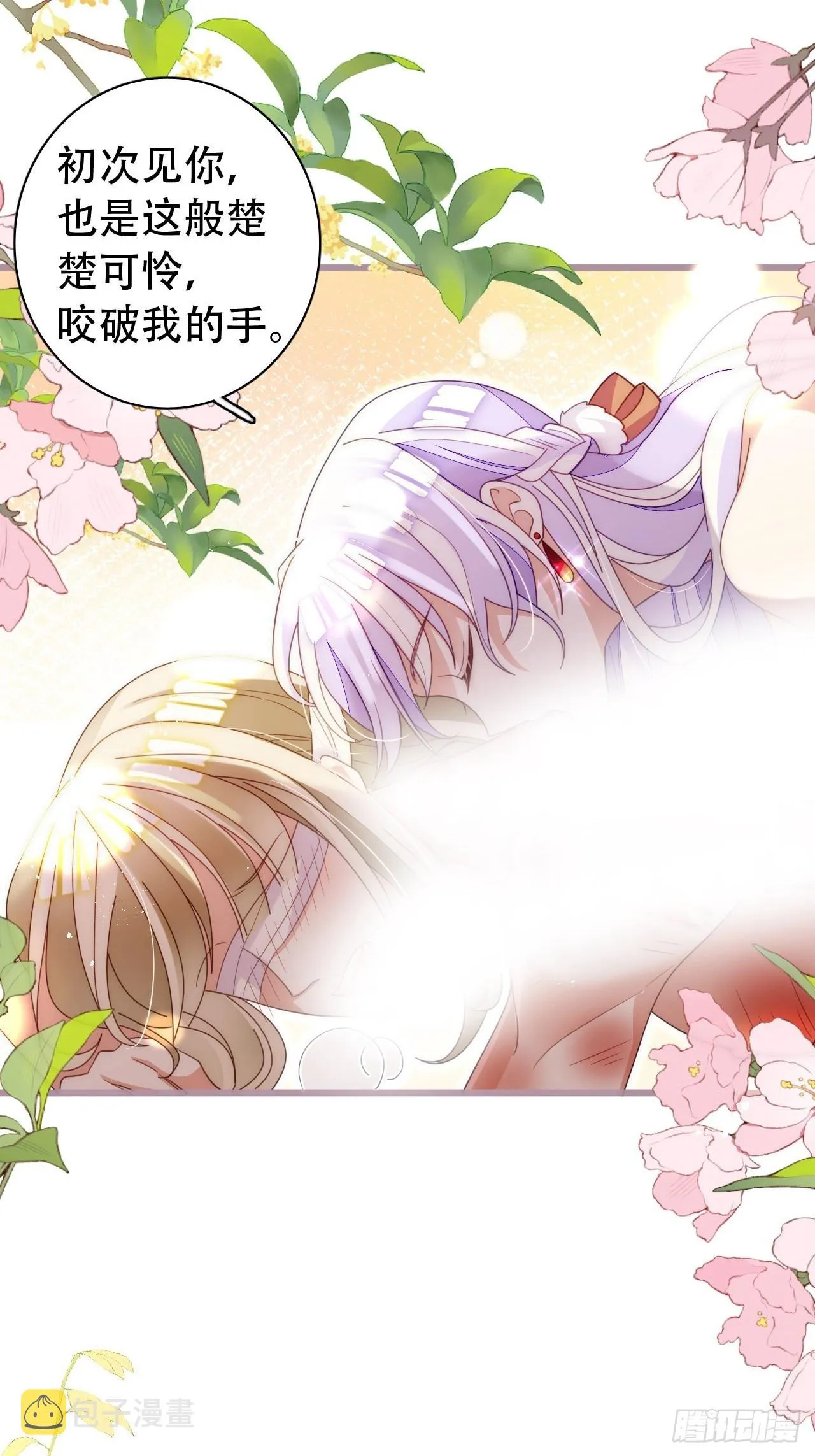云容花开·贰 第4页