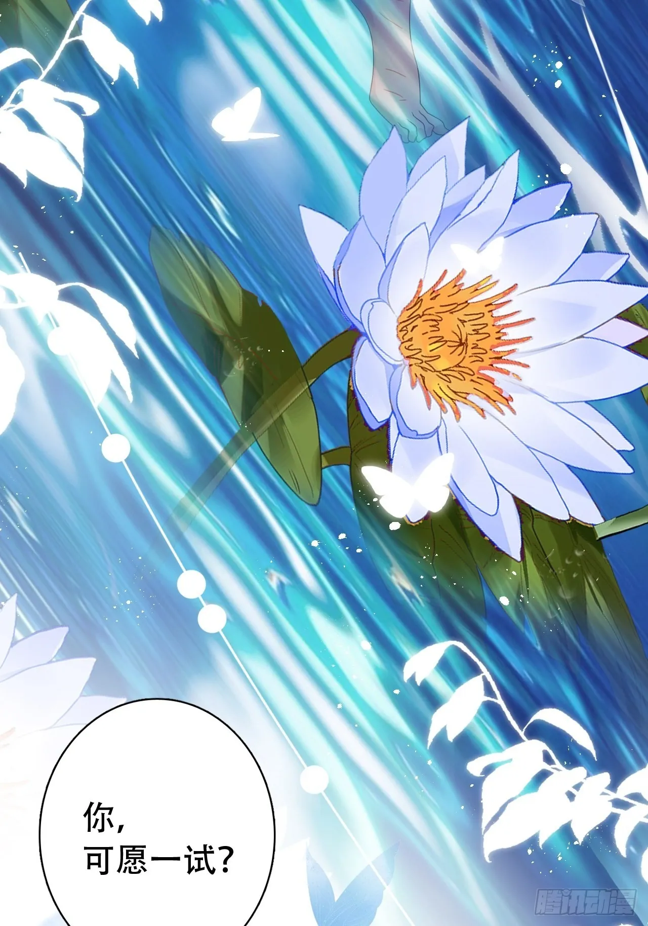 云容花开·壹 第5页