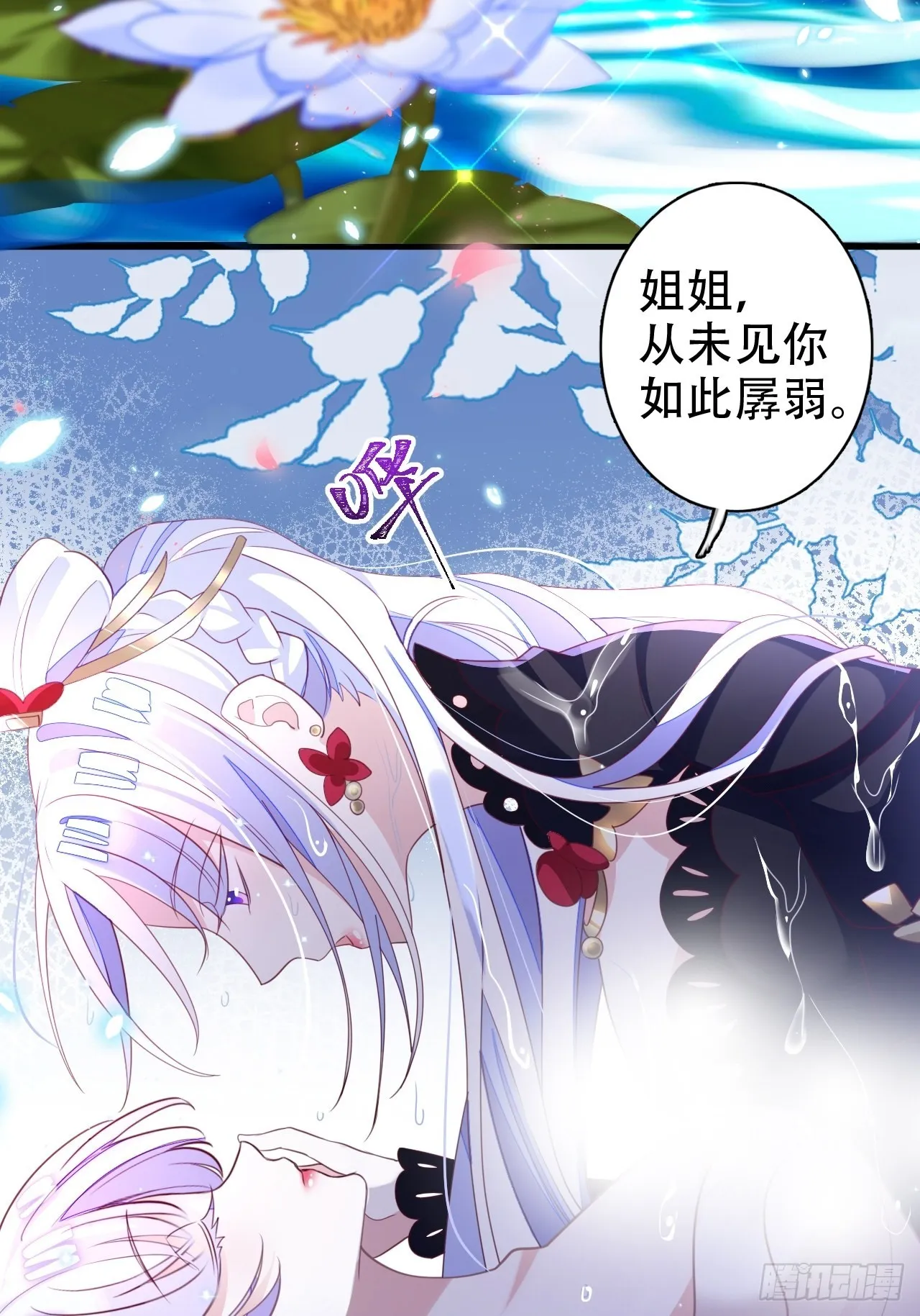 鸾凤宗的百合花都开好了 第13页