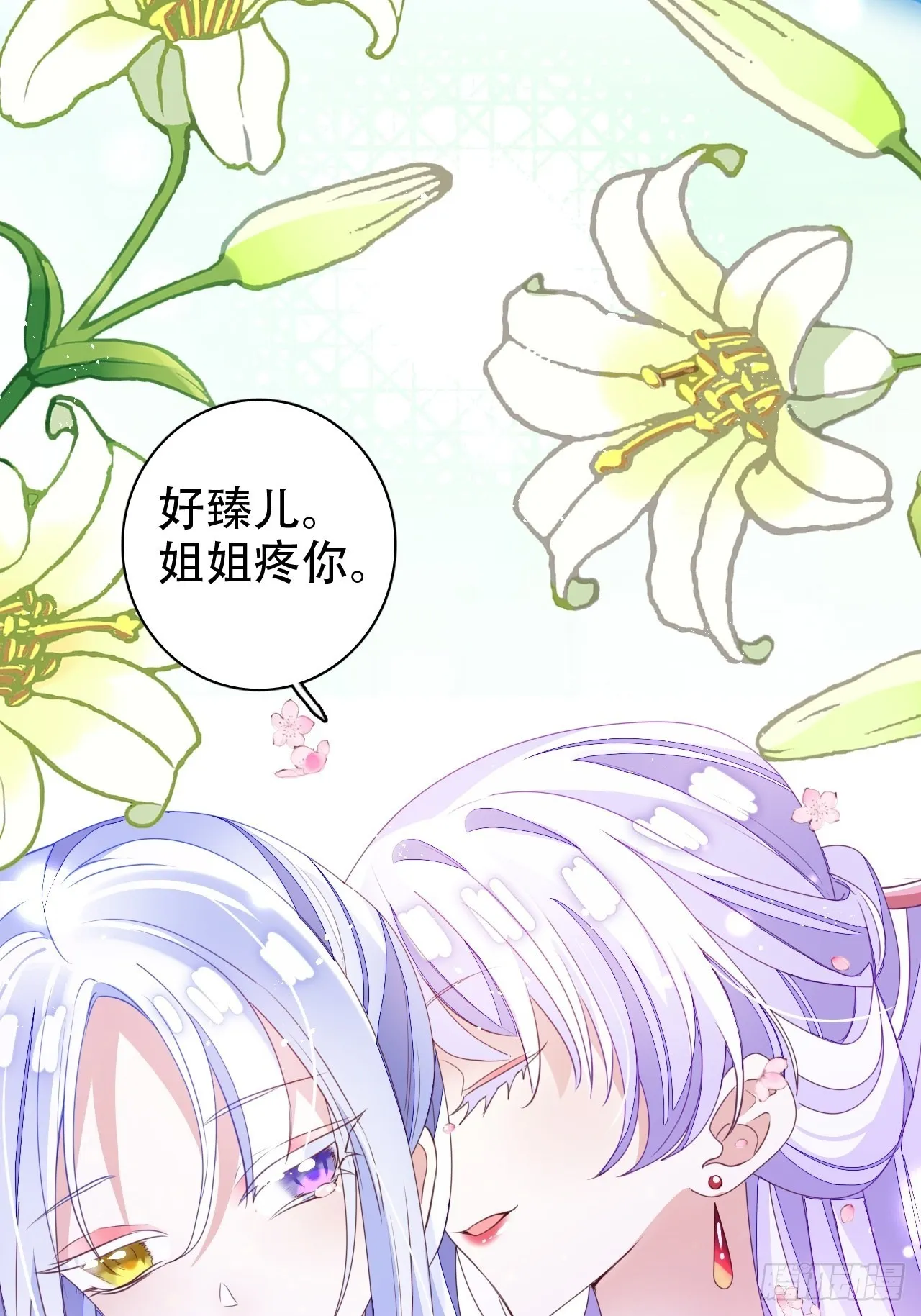 鸾凤宗的百合花都开好了 第33页