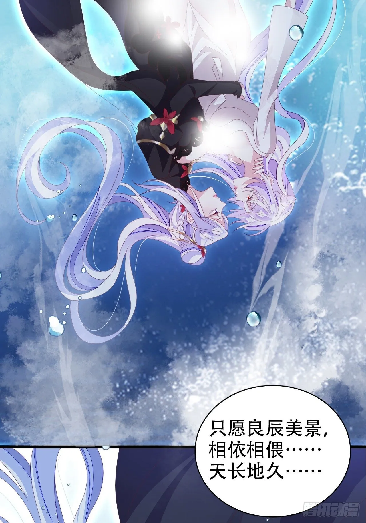 鸾凤宗的百合花都开好了 第37页