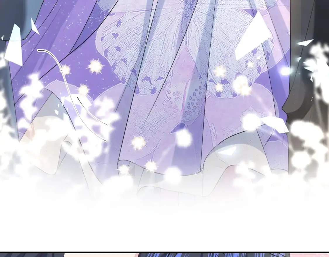 255 女装亮相 第42页