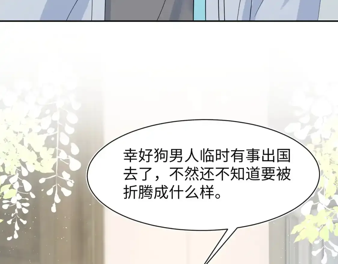 279 一个亿一颗的草莓 第77页
