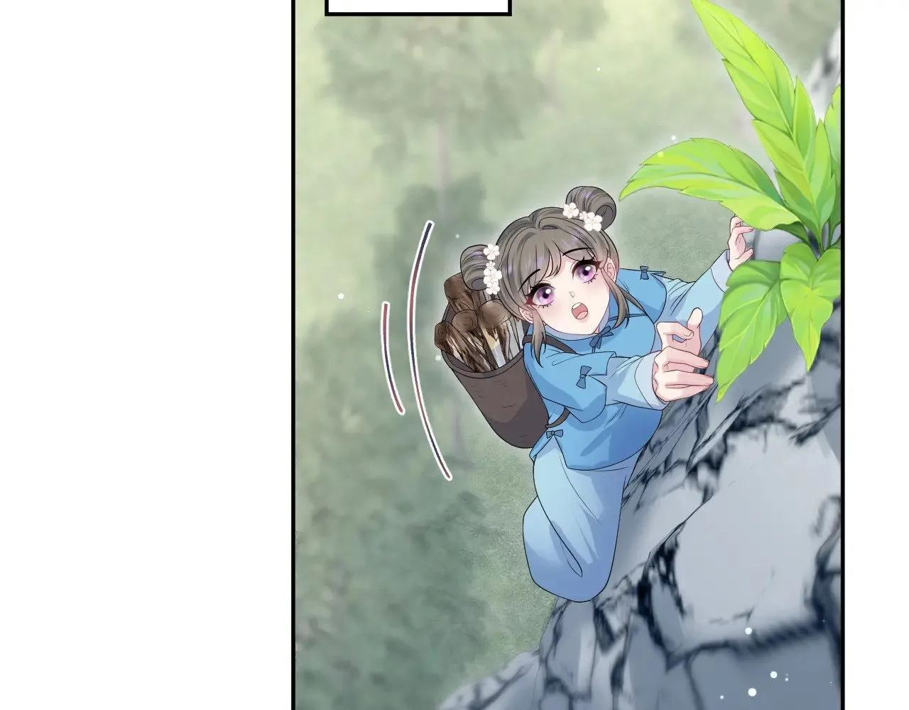 315 下山前的依依不舍 第56页