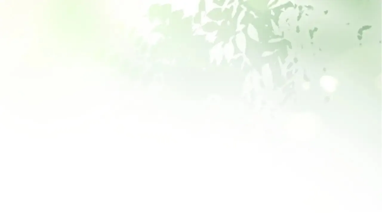 330 给司总上二锅头 第15页