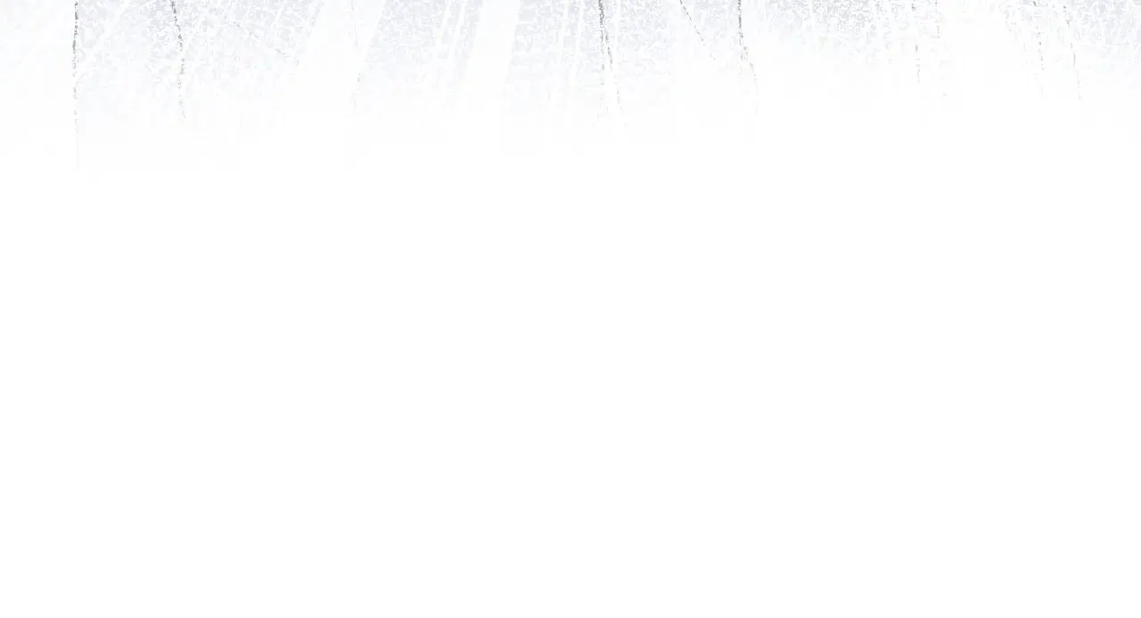 365 抢新郞？抢新娘！ 第15页