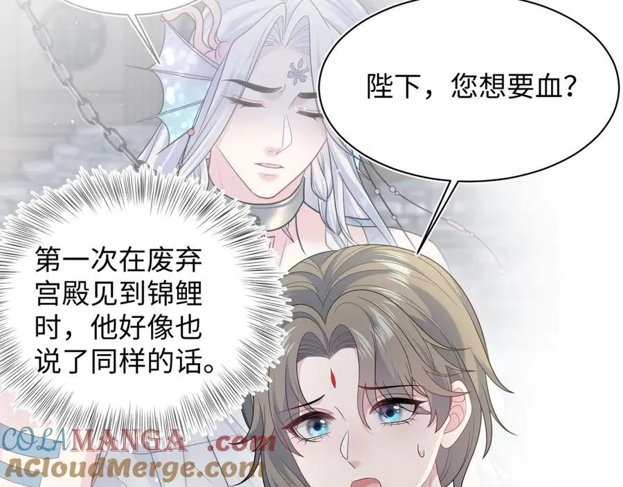 379 第41页